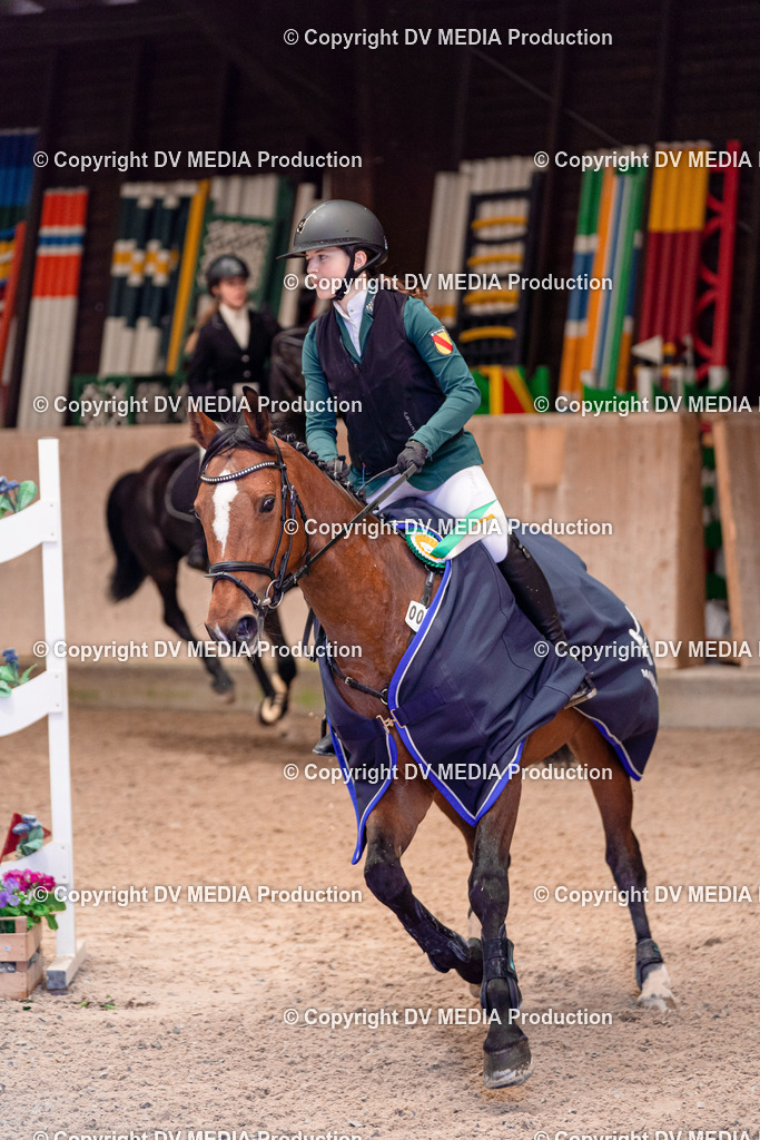 Springen Tag 2-366 | dv-media-shop - Realisiert mit Pictrs.com