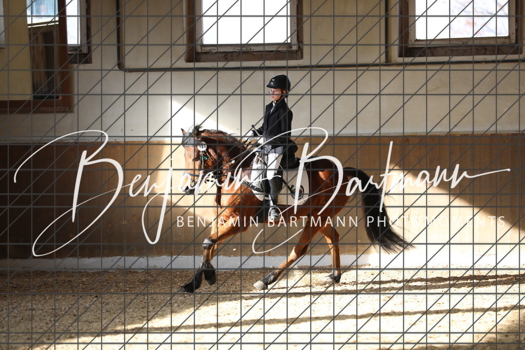 AZ2A9125 | Benjamin Bartmann Photomoments