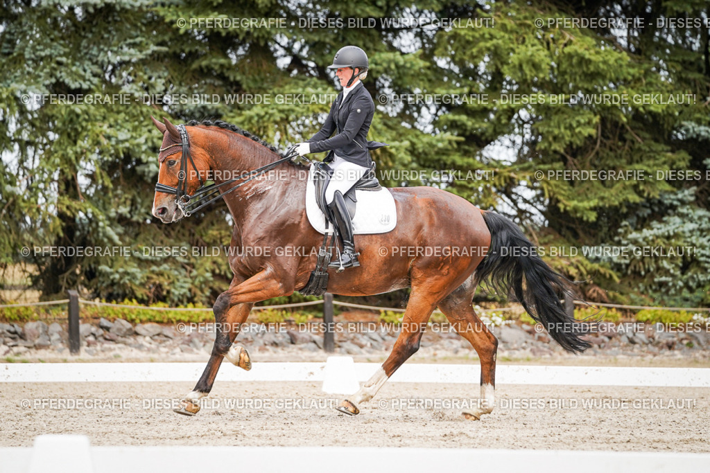 DSC06488 | Pferdegrafie