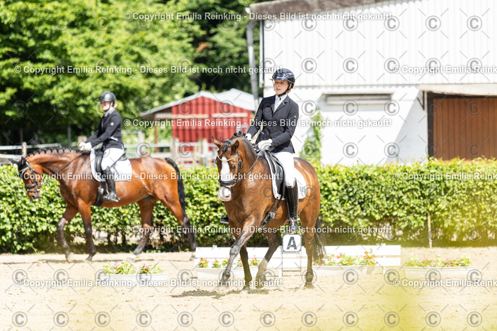 CL5A3768-2 | Emilia Reinking Fotografie - Realisiert mit Pictrs.com