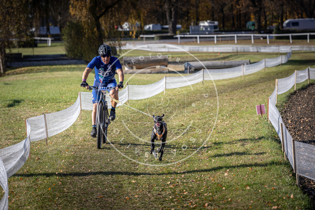 CaniXpix_DV3A5815 | Hundefotografie, Tierfotograf, Pfotenfotografie, Fotoshooting Hund, Hunde Portrait, Hundesport, Hundeportraits, Heideshooting, Hunde, Sportfotograf, Hundefotograf, Turnierhundsport, THS,  - Realisiert mit Pictrs.com