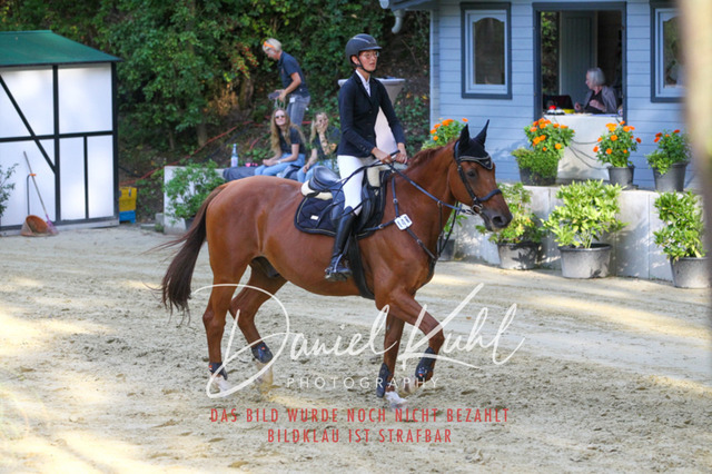 DKP42580 | Turniersportfotografie; Pferdefotografie; Dressurfotografie