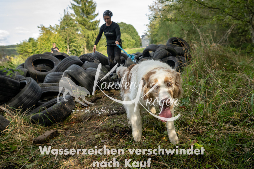 1512_ZZ91394 | kk-dogfotos