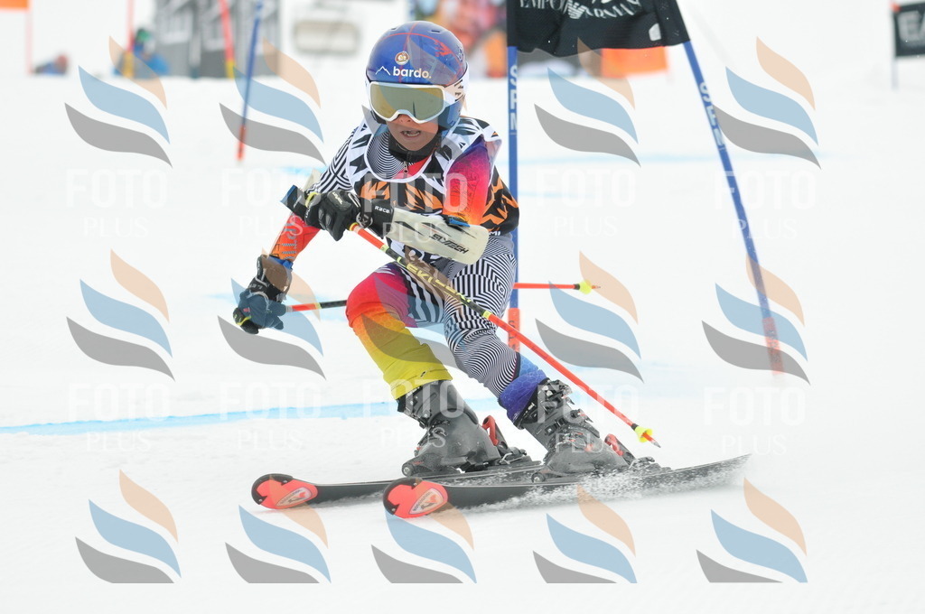 DSC_7954 | holidayphoto