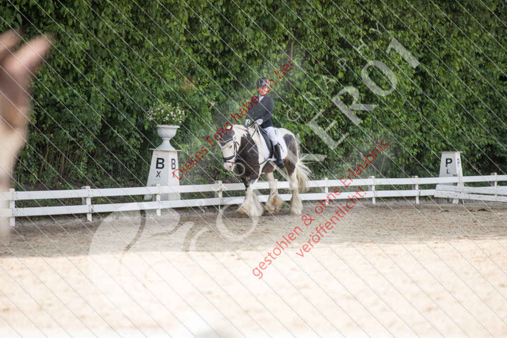 IMG_3326 | Sport-, Event- und Tierfotos in Profiqualität. Einfach auswählen, bestellen und herunterladen. Dein Moment – perfekt festgehalten.