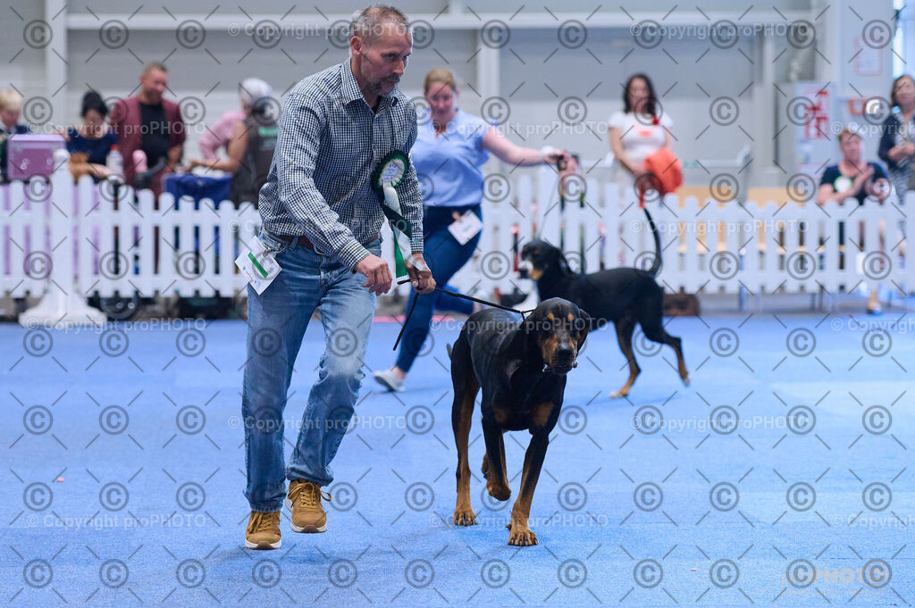 202406_ÖKV-IHA-Tulln24_DSC_3976 | proPHOTO - Realisiert mit Pictrs.com