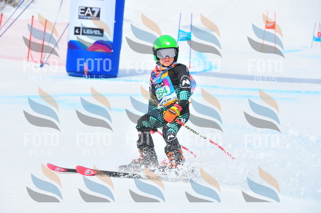 DSC_2471 | holidayphoto