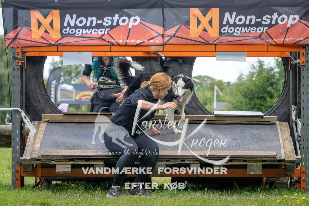 1259_ZZ94504 | kk-dogfotos