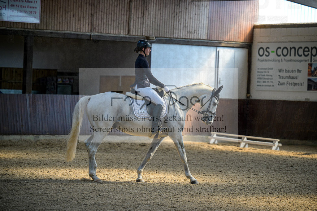 Reitturnier Voxtrup | Entdecke hochwertige Reitturnierfotos von Foto Oger. Professionell, emotional und authentisch – jetzt Lieblingsmomente im Shop bestellen.Deutschlandweite Turnierfotografie. - Realisiert mit Pictrs.com