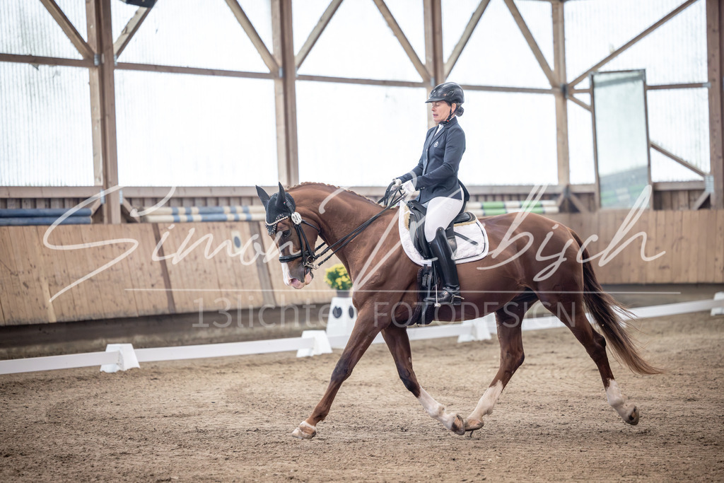 20251011-_3LI1019 | Tierfotografie Pferde, Hunde, Katzen, Haustiere.
Turnierfotografie Reitturniere, Reiten, Springreiten, Dressur in Hanau, dem Main-Kinzig-Kreis und dem Rhein-Main- Gebiet um Frankfurt
