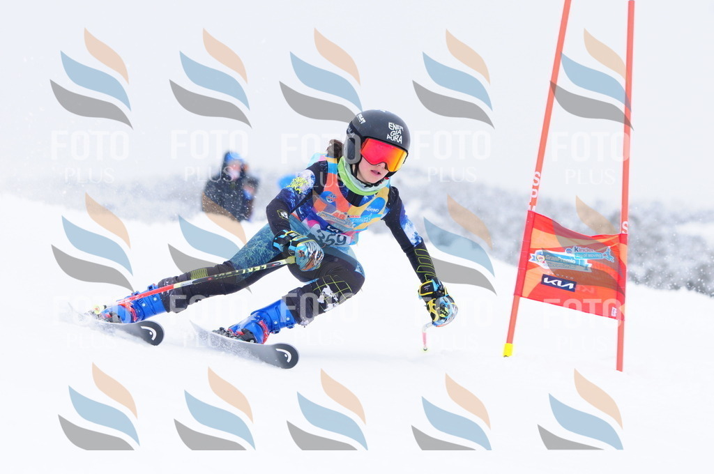 C3842 | holidayphoto