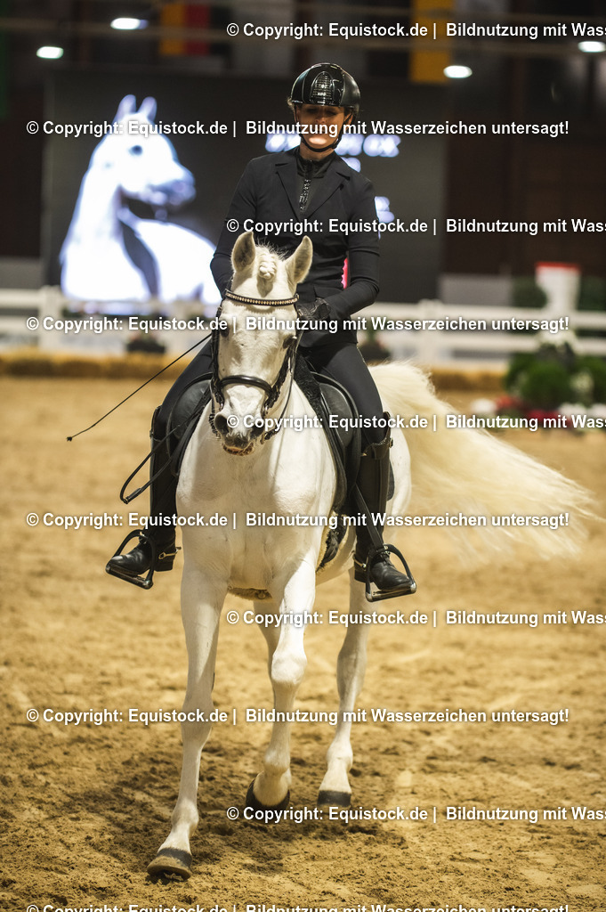 20240302_Hengstvorstellung_Marbach_TOMsPiC_1106 | equistock