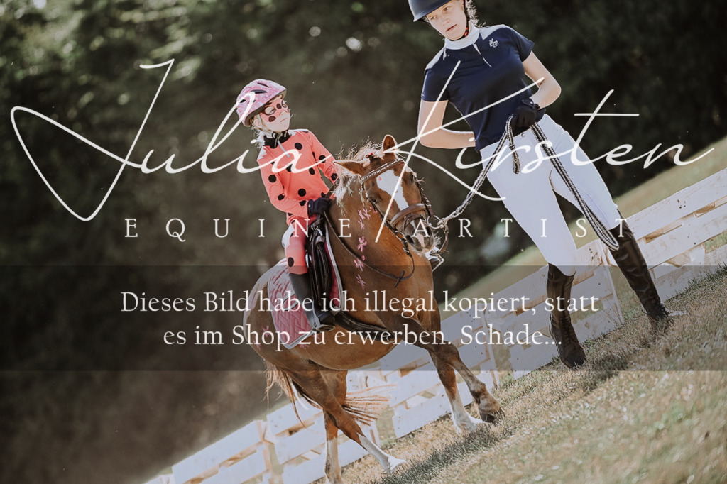 DSC_8911 | Pferde- und Turnierfotografie in Westsachsen. Pferdeportraits, Auftragszeichnungen und intuitive Kunst.