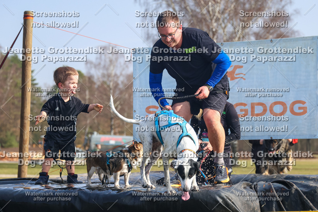 Dog Paparazzi - Strongdog North Mrz26-1872 | Dog Paparazzi Jeanette Grottendiek Fotografie & Videografie - Realisiert mit Pictrs.com