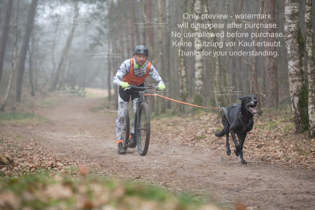 Scooter1-67 | stephaniefillaphotographie - Realisiert mit Pictrs.com