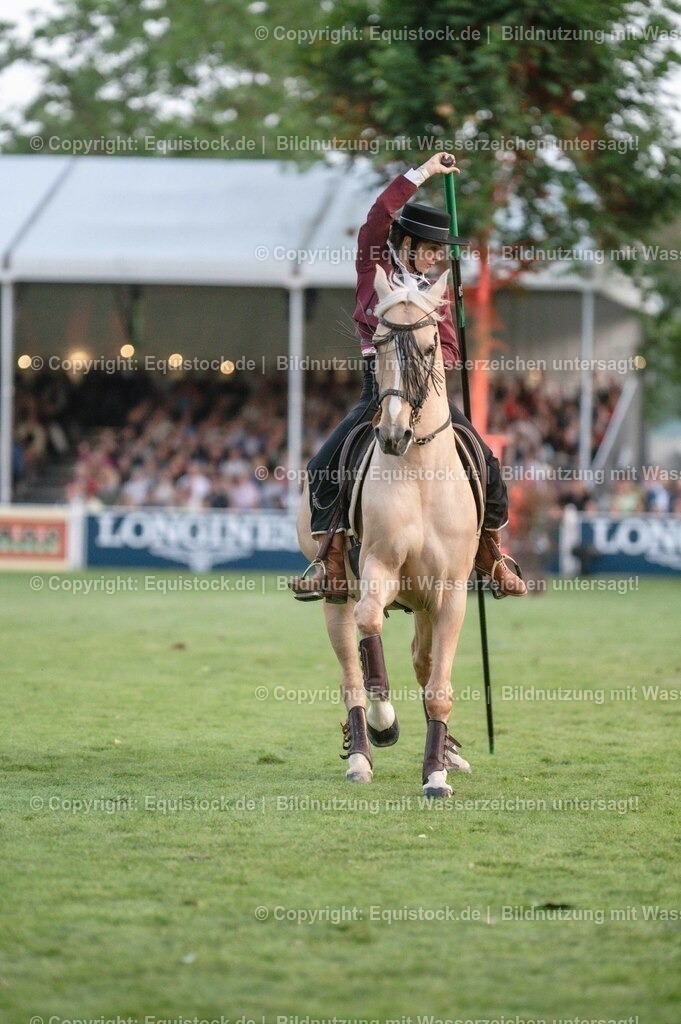 20230526_Pferdenacht_0712 | equistock