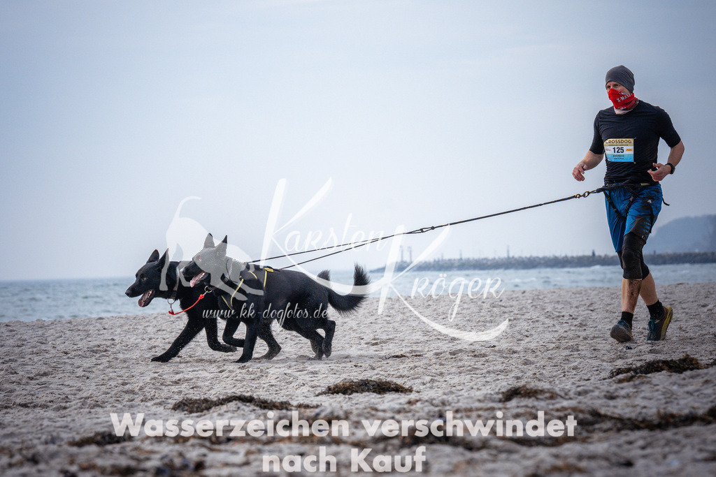 1036_ZZ95535 | kk-dogfotos