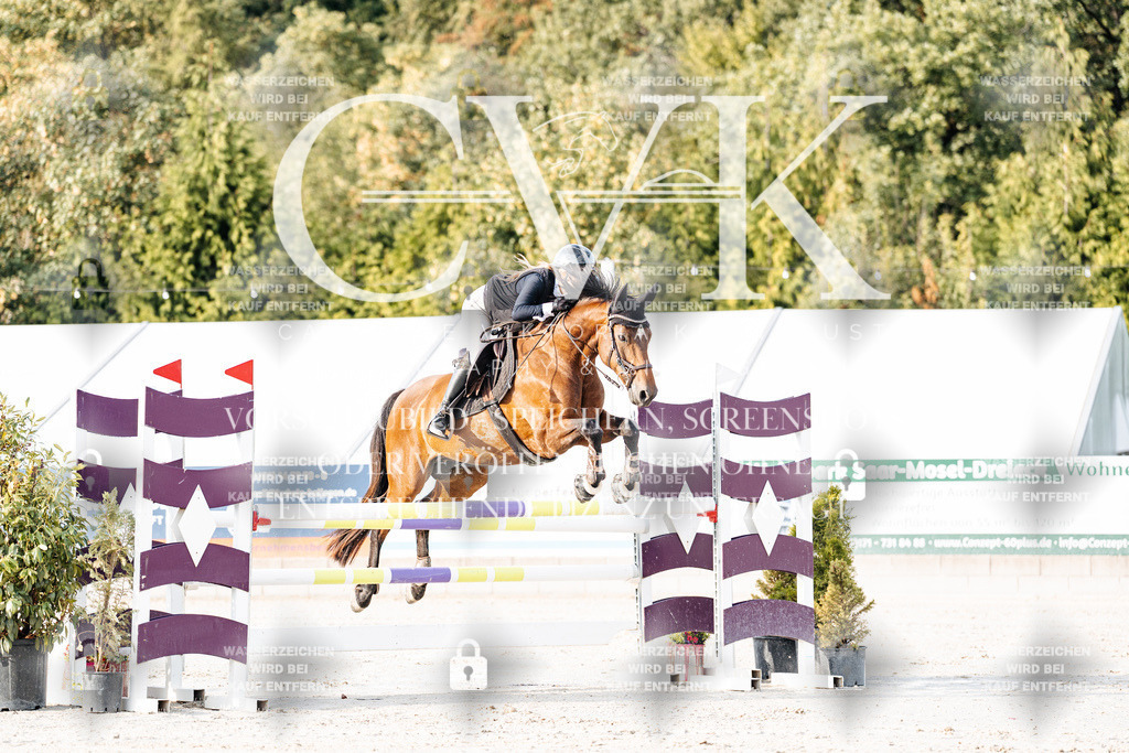 CK903272 | Turnierfotografie Pferdefotografie Trier Rheinland-Pfalz Pferdesport Reitsport Tierfotografie Sportfotografie Pferdevideo Pferdevideografie Equestrianvideography equestrianphotography  - Realisiert mit Pictrs.com