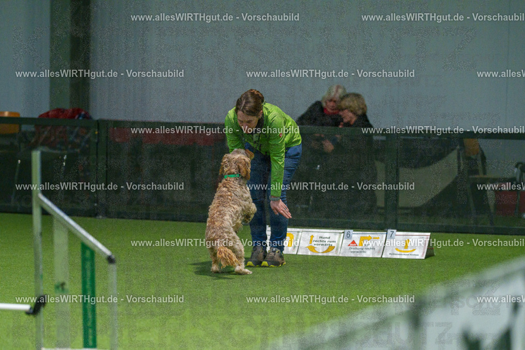 7R504492 | Professionelle Tierfotografie in Mönchengladbach von Daniel Wirth (allesWIRTHgut). Liebevolle & natürliche Bilder von Hunden & Katzen für unvergessliche Erinnerungen.