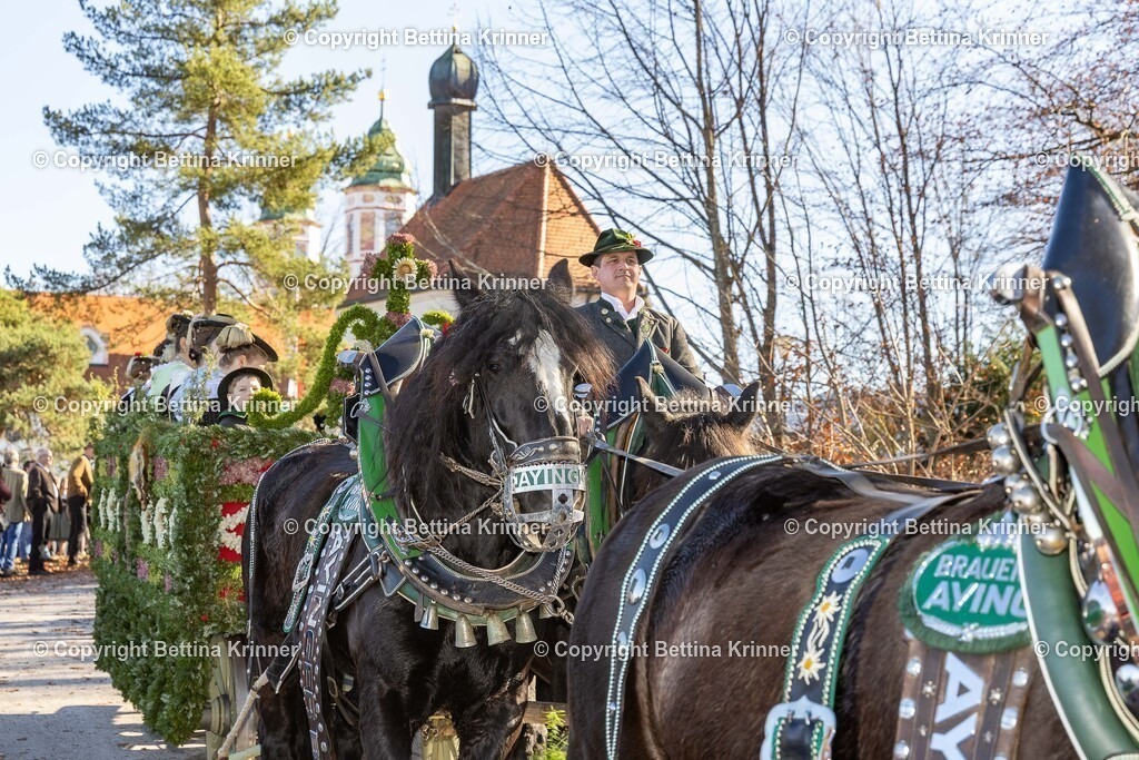LBT25-1051 | foto-bettina-krinner - Realisiert mit Pictrs.com
