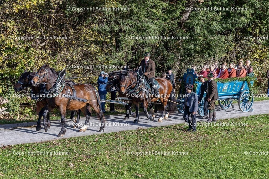 LBT24-601 | foto-bettina-krinner - Realisiert mit Pictrs.com