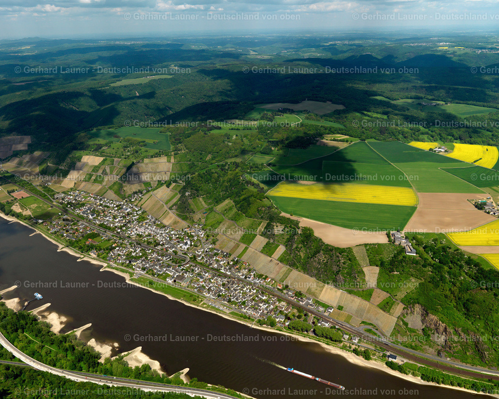 3117005 | Weinberge an den Hängen am Rhein bei Leutesdorf