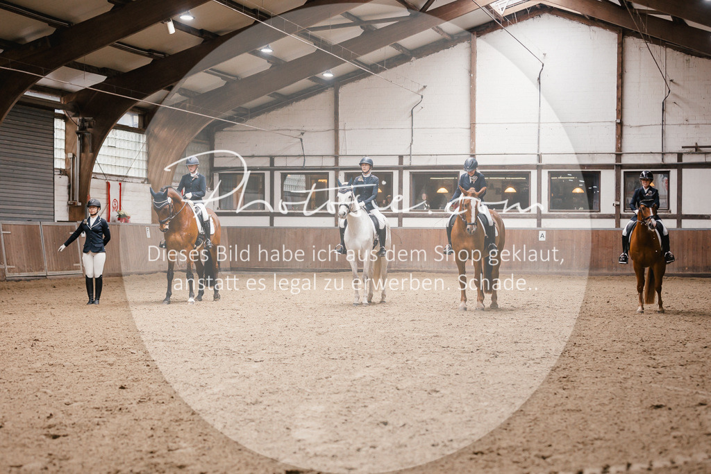 3I6A7302 | Stimmungsvolle Portraits und Reitsportfotografie im Ruhrgebiet und im Münsterland.

Pferdefotografie, Hundefotografie, Tierfotografie, Reportagen, Portraits von Tier und Mensch, Turnierfotografie in Bochum, Recklinghausen, Marl, Haltern am See, Dülmen.. - Realisiert mit Pictrs.com