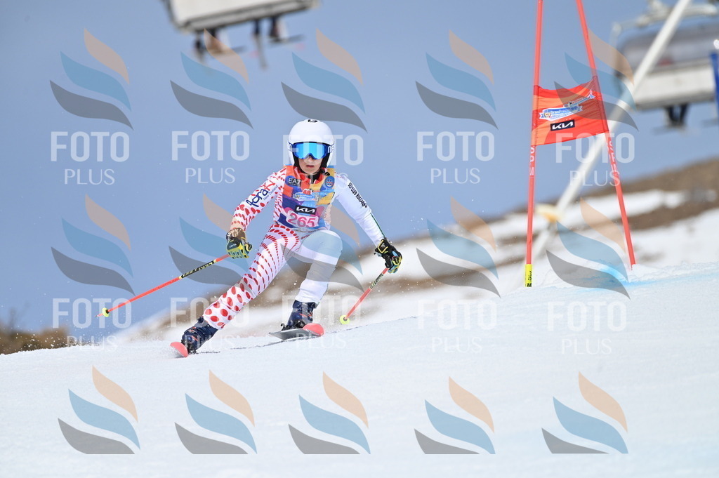 BGV_2163 | holidayphoto