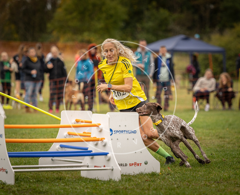 Pfotenfotografie_DV3A6839 | Hundefotografie, Tierfotograf, Pfotenfotografie, Fotoshooting Hund, Hunde Portrait, Hundesport, Hundeportraits, Heideshooting, Hunde, Sportfotograf, Hundefotograf, Turnierhundsport, THS,  - Realisiert mit Pictrs.com