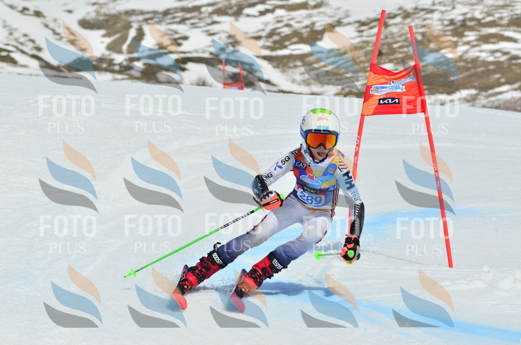 _ELE2061 | holidayphoto