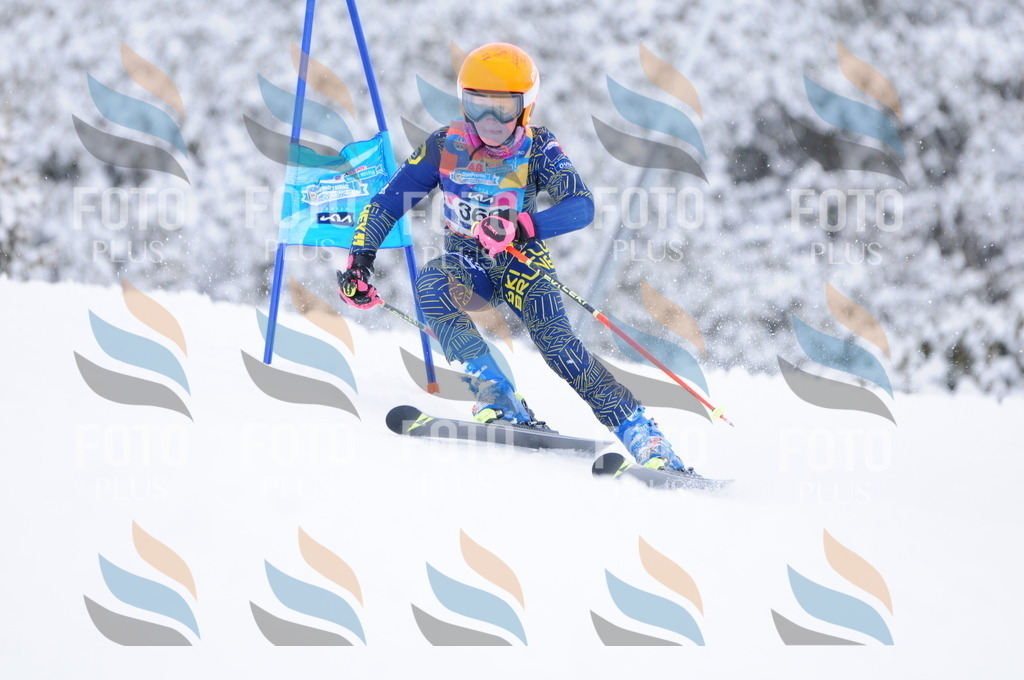 C3906 | holidayphoto