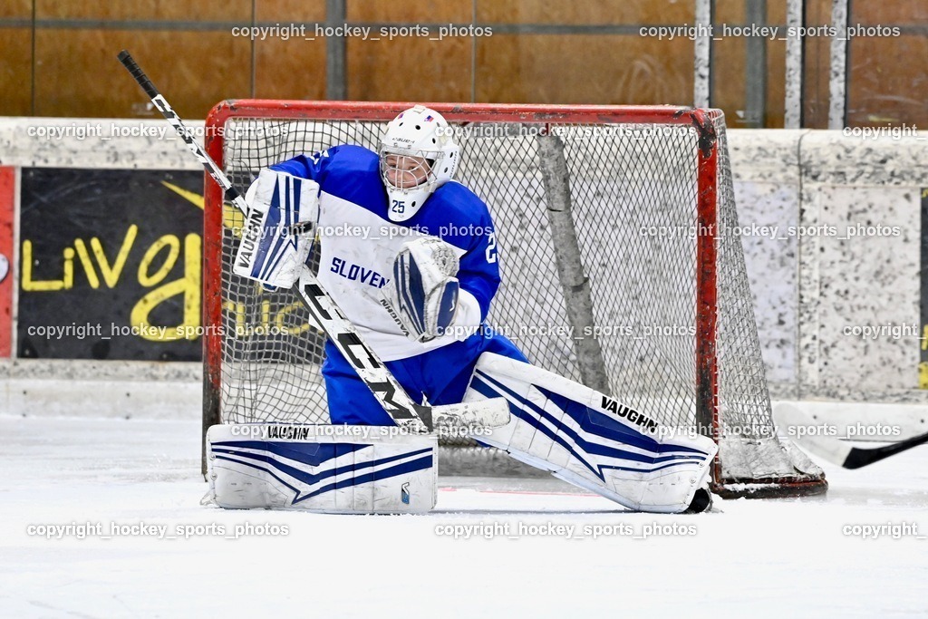 BST_5833 | hockey sports photos, Pressefotos, Sportfotos, hockey247, win 2day icehockeyleague, Handball Austria, Floorball Austria, ÖVV, Kärntner Eishockeyverband, KEHV, KFV, Kärntner Fussballverband, Österreichischer Volleyballverband, Alps Hockey League, ÖFB, 