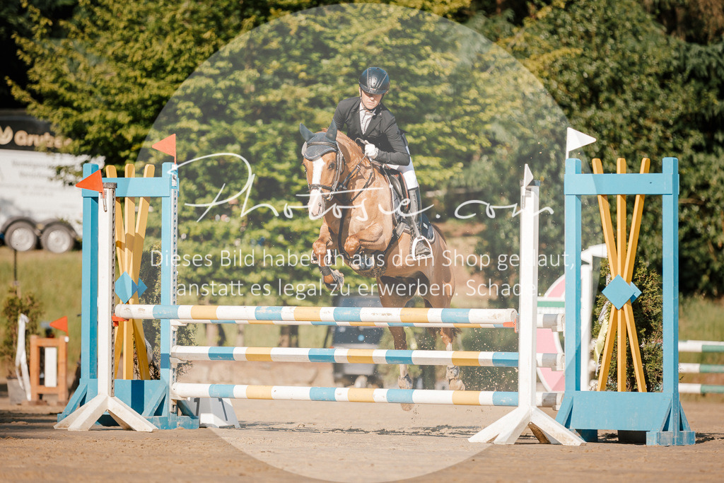 3I6A6206 | Stimmungsvolle Portraits und Reitsportfotografie im Ruhrgebiet und im Münsterland.

Pferdefotografie, Hundefotografie, Tierfotografie, Reportagen, Portraits von Tier und Mensch, Turnierfotografie in Bochum, Recklinghausen, Marl, Haltern am See, Dülmen.. - Realisiert mit Pictrs.com