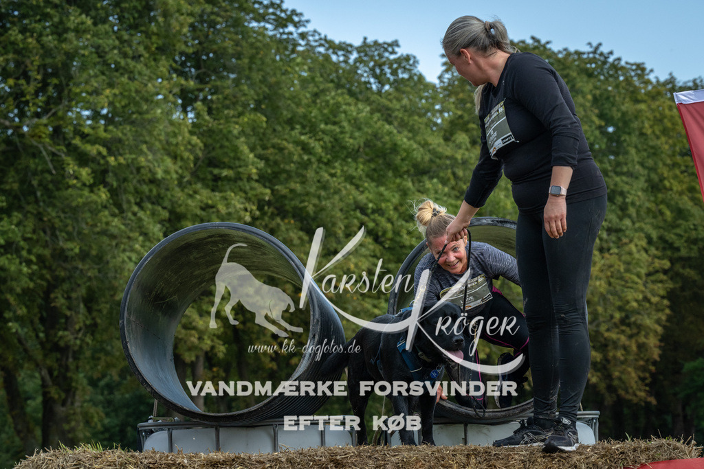 1339_ZZ94214 | kk-dogfotos