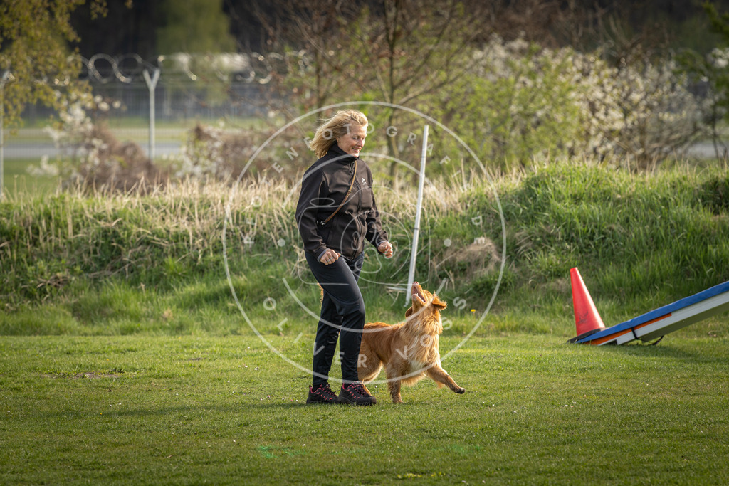 Pfotenfotografie_DV3A4861 | Hundefotografie, Tierfotograf, Pfotenfotografie, Fotoshooting Hund, Hunde Portrait, Hundesport, Hundeportraits, Heideshooting, Hunde, Sportfotograf, Hundefotograf, Turnierhundsport, THS,  - Realisiert mit Pictrs.com
