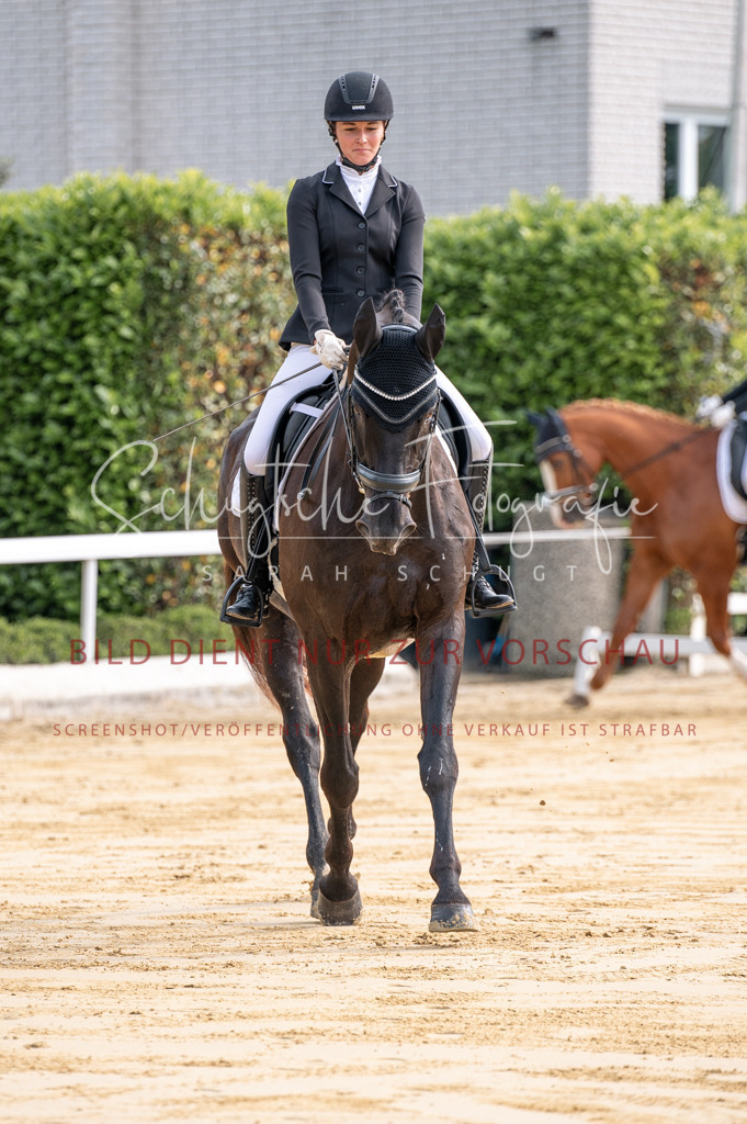 Schugtsche-Aluta25-40.DressurprfA_-43 | Schugtsche Fotografie - Realisiert mit Pictrs.com