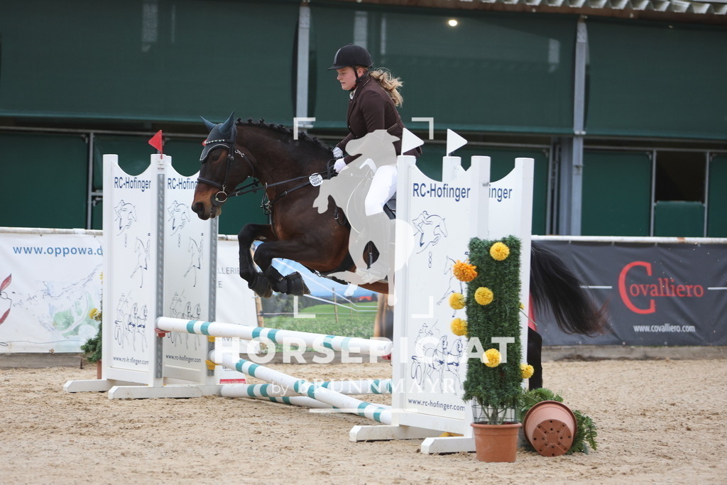 0P6A3793 | Willkommen bei Brunnmayr - Design & Fotografie – Ihrem Spezialisten für Reitturniere und Pferdeveranstaltungen in Oberösterreich, Salzburg und Bayern! Seit über 17 Jahren sind wir leidenschaftlich dabei.