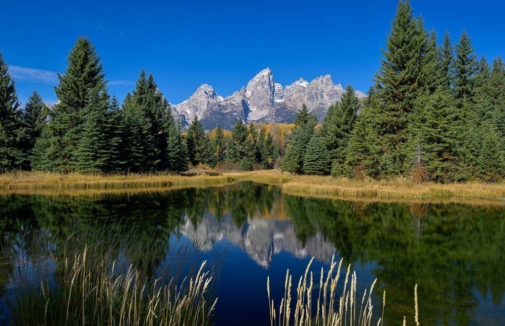 usa-2015-442 | Schwabacher Landing im Grand Teton Nationalpark in den Rocky Mountains der USA ist ein Bootslandeplatz am Snake River. Von hier erschließt sich das Panorama des Nationalparks besonders eindrucksvoll. - Realisiert mit Pictrs.com