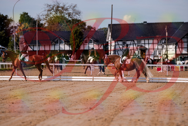 2026_10_03_Siefer-Hof_113959_Z81_82390381 | Professionelle Reitsport-, Turnier- und Eventfotografie von Robert Broda. Galerien mit ausgewählten und bearbeiteten Bildern direkt online ansehen und bestellen.