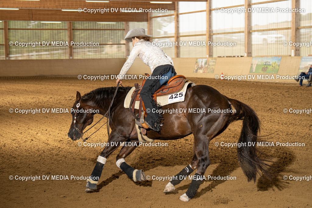 LAU01549 | dv-media-shop - Realisiert mit Pictrs.com