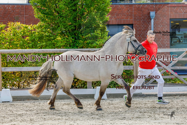 GK (673 von 759) | mandyhollmannphotographie