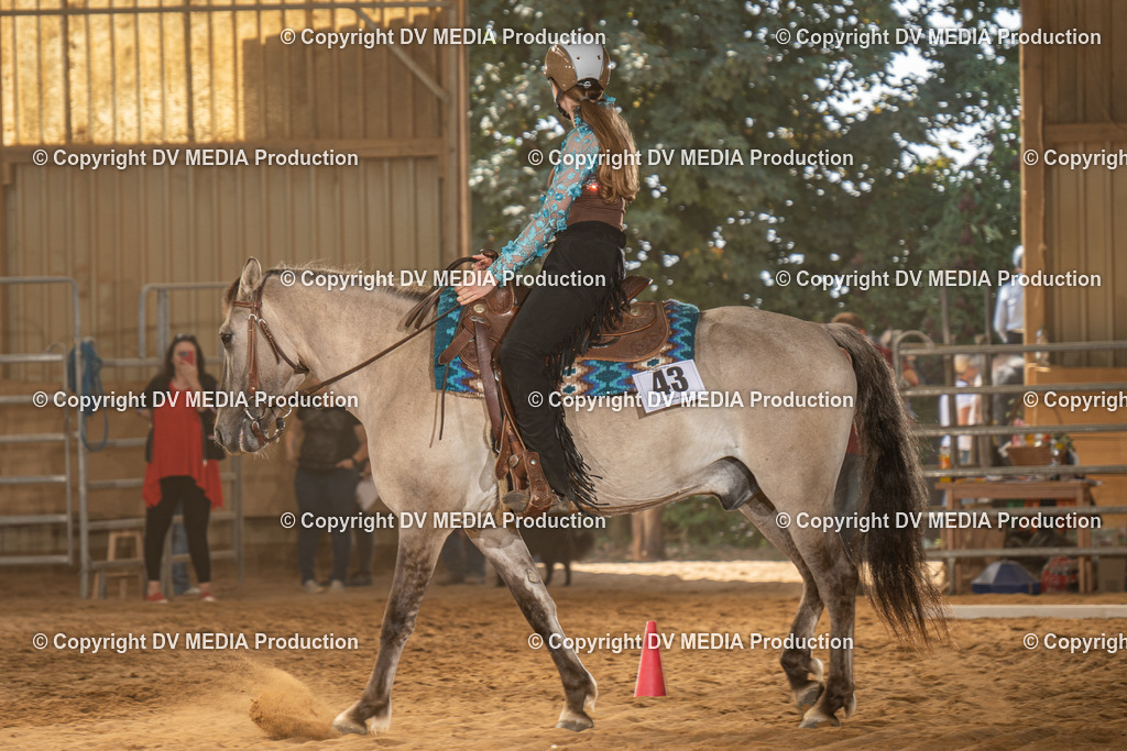 NID02951 | dv-media-shop - Realisiert mit Pictrs.com