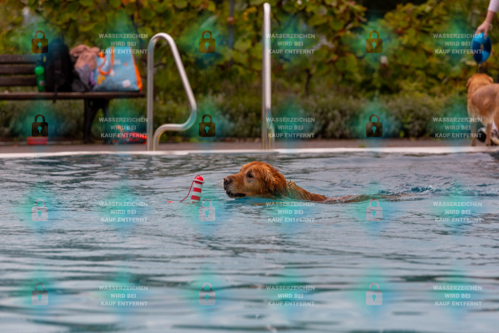 _HP_6096_1000o | HetPix, HetPix Fotodesign, Fotografie, Fotodesign, Webshop, Sportfotografie, Portraitfotografie, Onlineshop, Sportfotografie, Polch, Motorsportfotografie, Eventfotografie