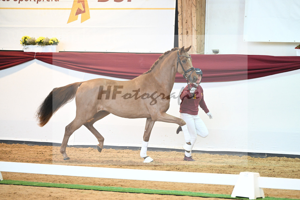 Kat-Nr. 52 v. Vaderland_Galneder_66220711 | hf-fotografie - Realisiert mit Pictrs.com