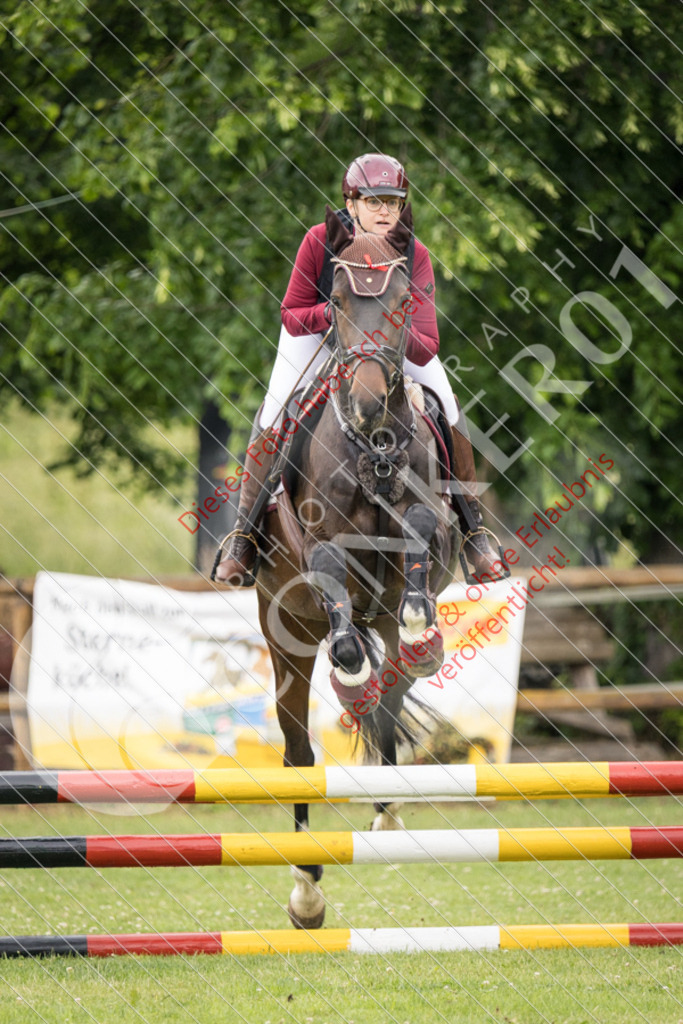 IMG_2445 | Sport-, Event- und Tierfotos in Profiqualität. Einfach auswählen, bestellen und herunterladen. Dein Moment – perfekt festgehalten.