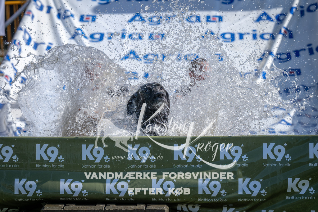 1016_ZZ98296 | kk-dogfotos