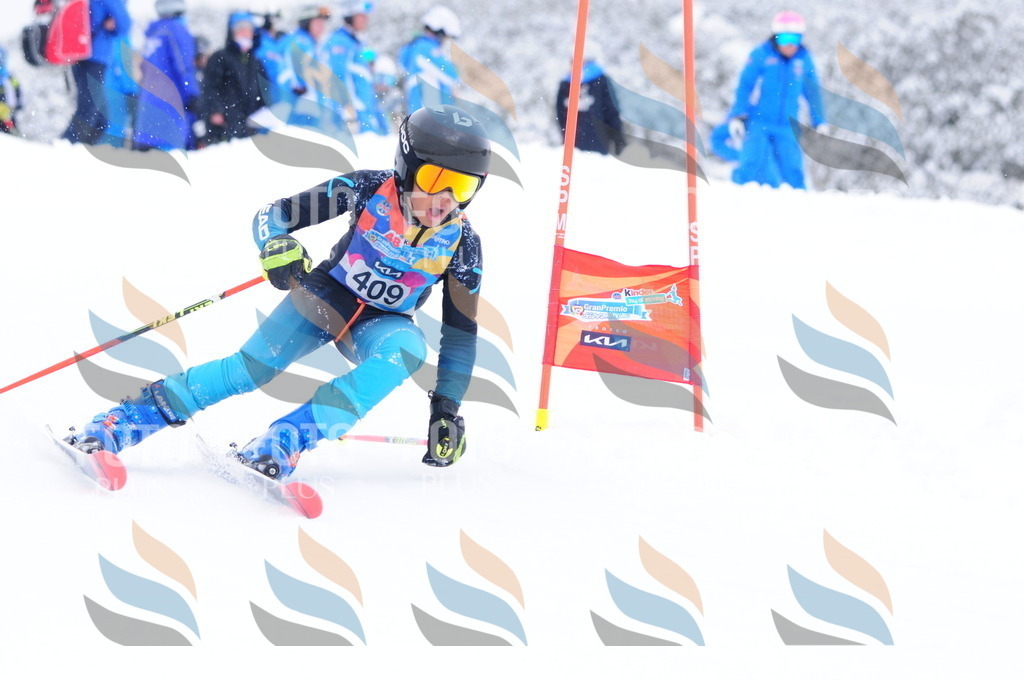 C4302 | holidayphoto