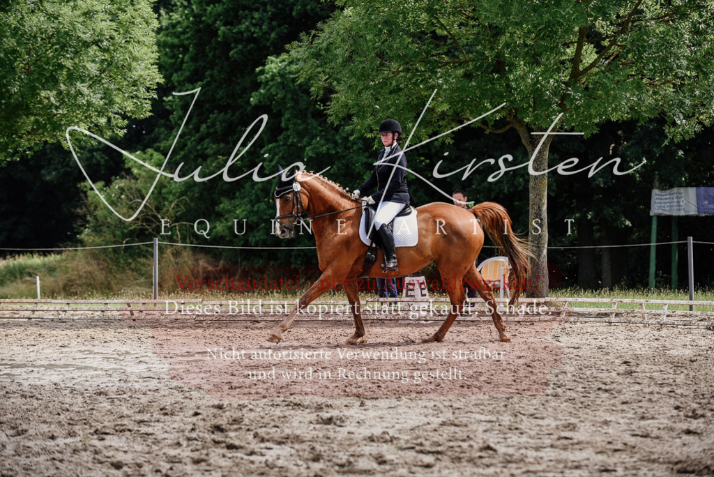 DSC_0694 | Pferde- und Turnierfotografie in Westsachsen. Pferdeportraits, Auftragszeichnungen und intuitive Kunst.