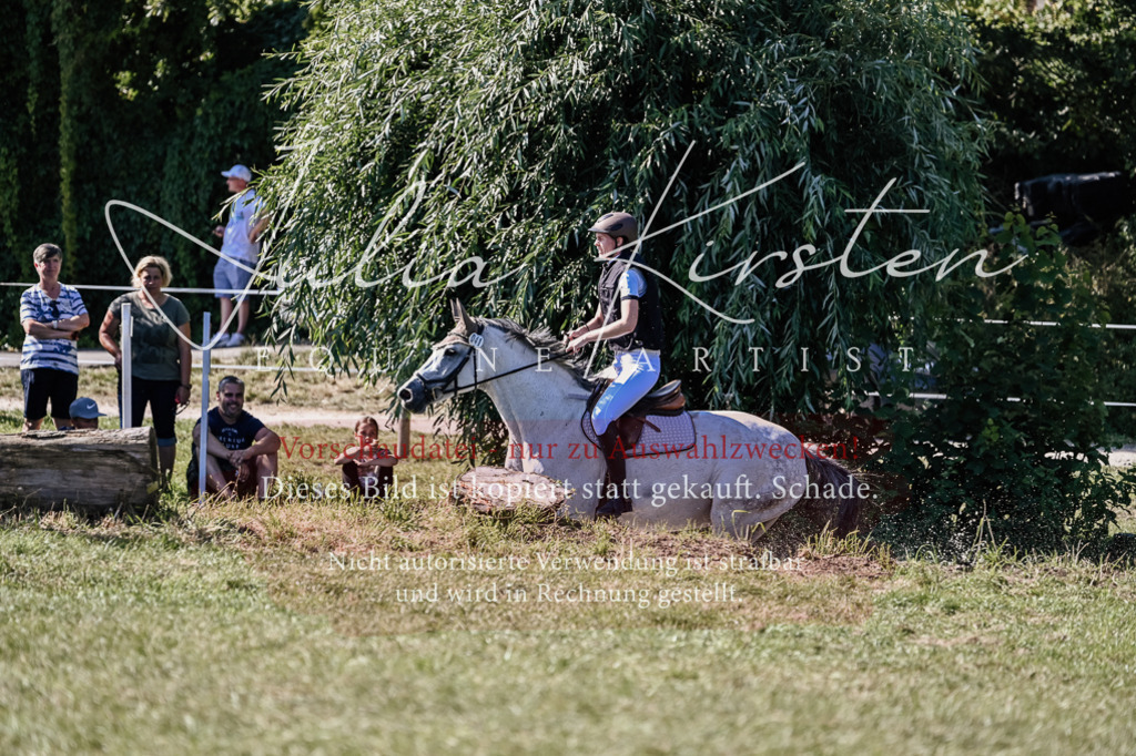 DSC_2874 | Pferde- und Turnierfotografie in Westsachsen. Pferdeportraits, Auftragszeichnungen und intuitive Kunst.