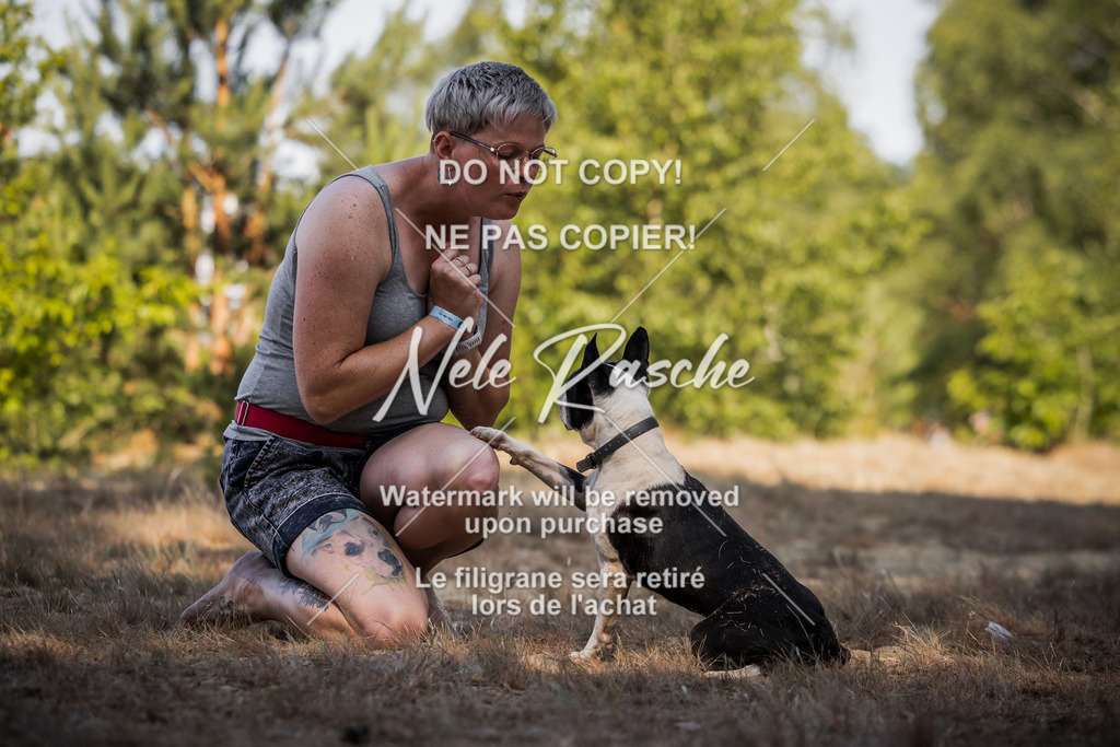 nelerasche_soDD1_274 | nelerasche